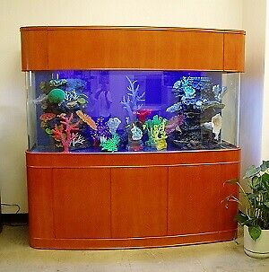 MONSTER TANK WARRANTY INCLUDED 380 gallon GLASS bow front aquarium fish tank